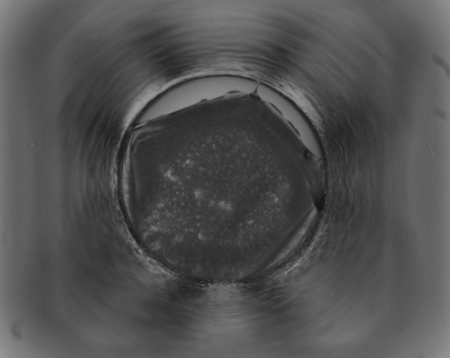 X0000091210944200709061437