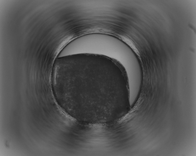 X0000091210946200709061437