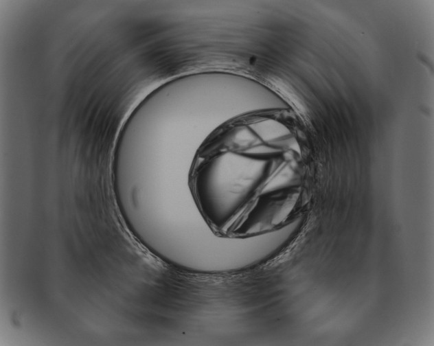 X0000091210948200709061437