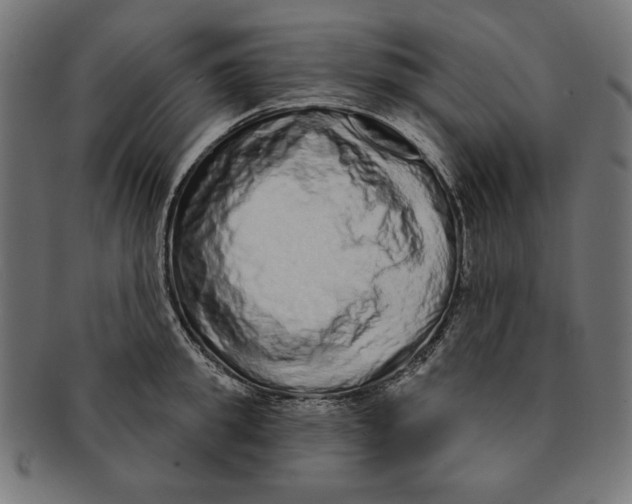 X0000091210949200709061437