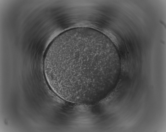 X0000091210950200709061437