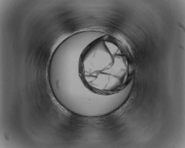 X0000091210952200709061437