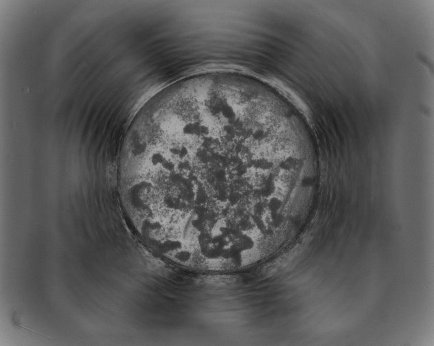 X0000091210953200709061437