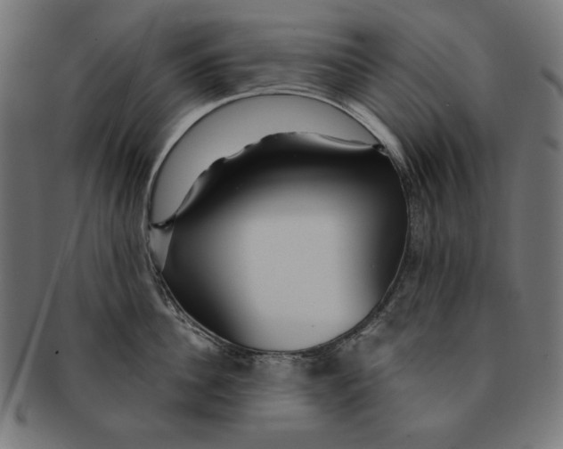 X0000091210956200709061437