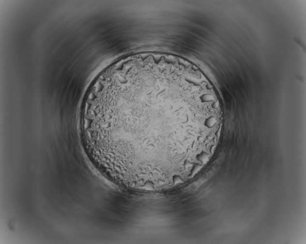 X0000091210957200709061437