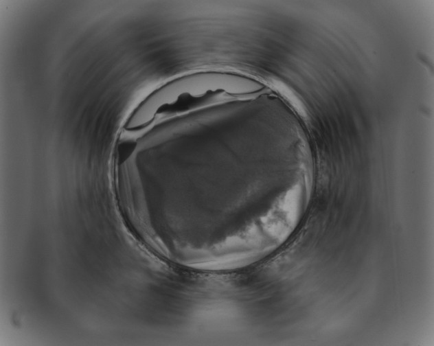 X0000091210958200709061437