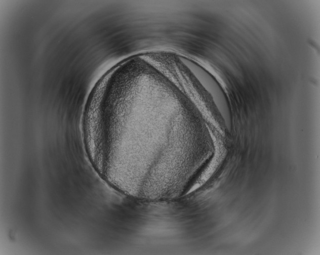 X0000091210959200709061437