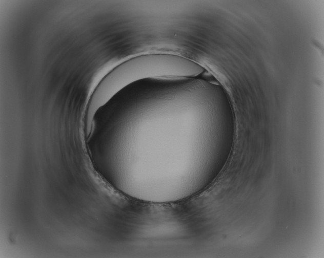 X0000091210960200709061437