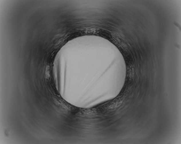 X0000091210962200709061436