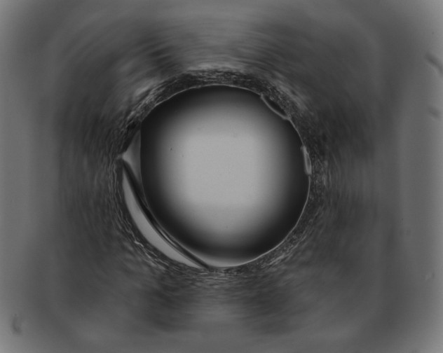 X0000091210965200709061436