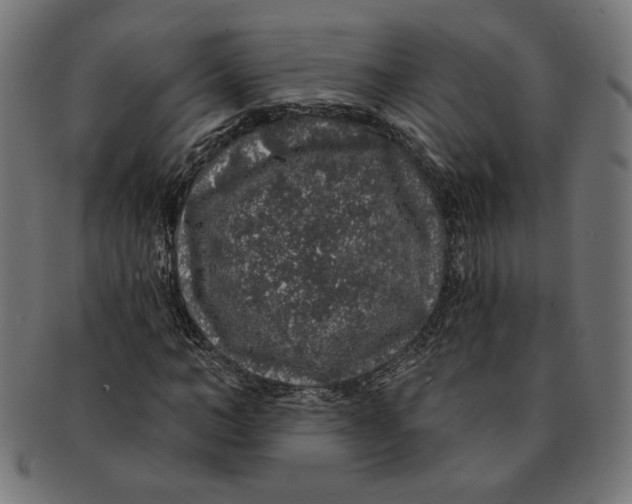 X0000091210966200709061436