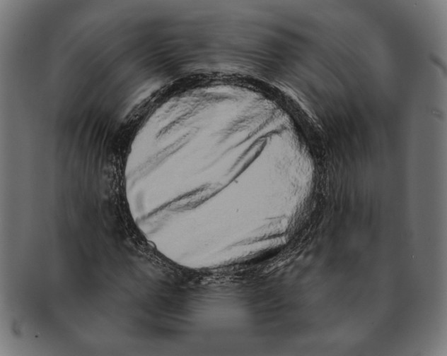 X0000091210967200709061436