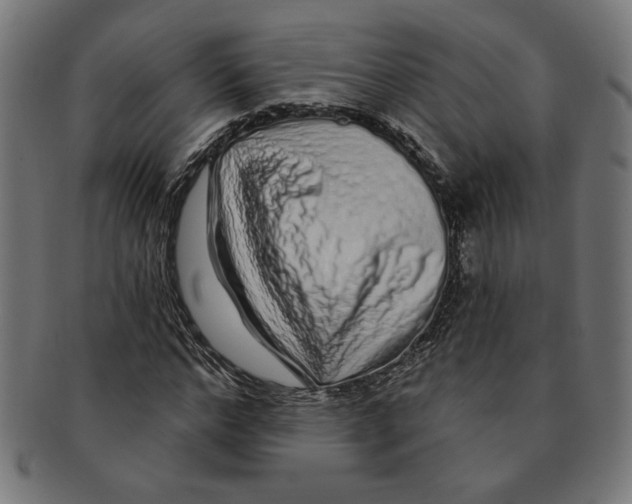 X0000091210968200709061436