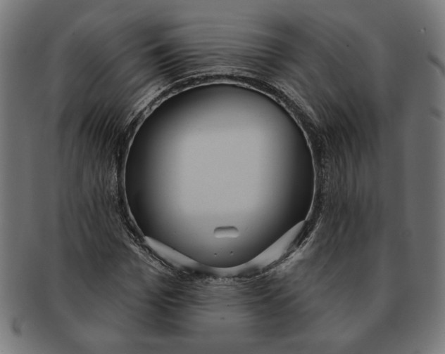 X0000091210969200709061436