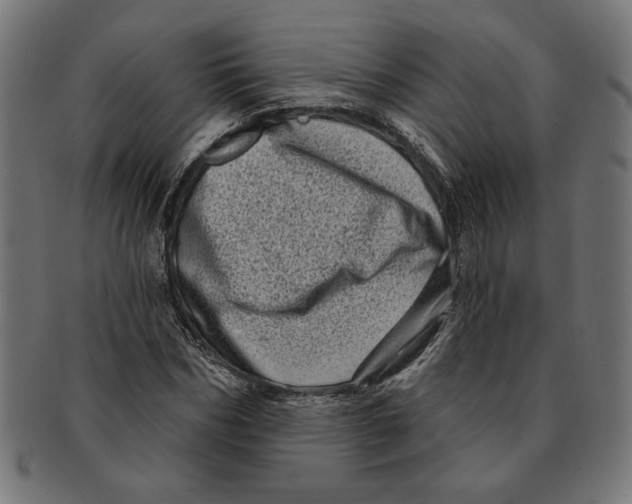 X0000091210970200709061436