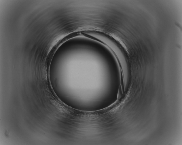 X0000091210973200709061436