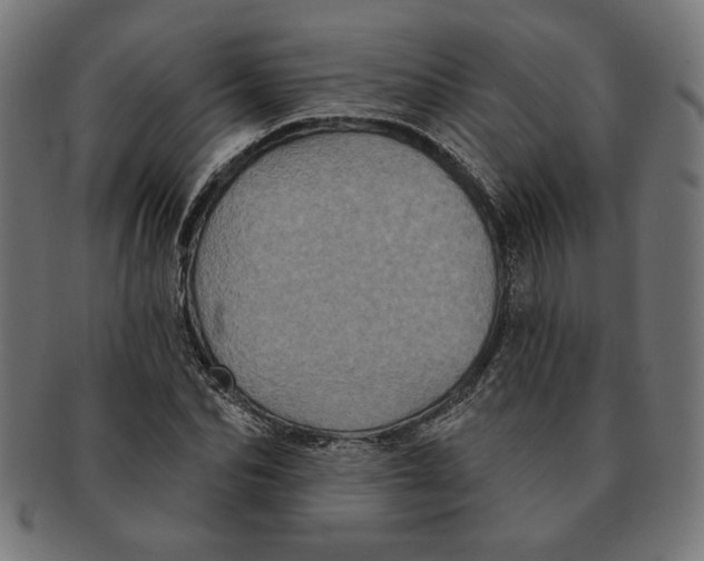 X0000091210974200709061436