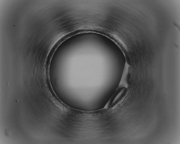 X0000091210976200709061436