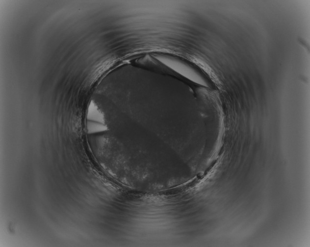 X0000091210977200709061436