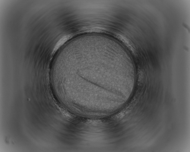 X0000091210978200709061436