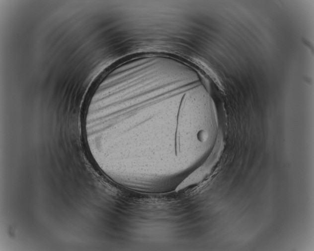 X0000091210980200709061436