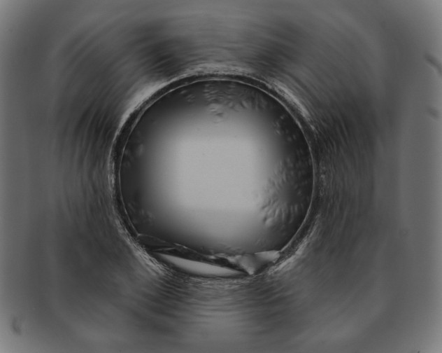 X0000091210981200709061436