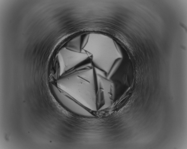 X0000091210984200709061436