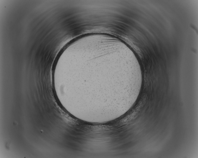 X0000091210988200709061436