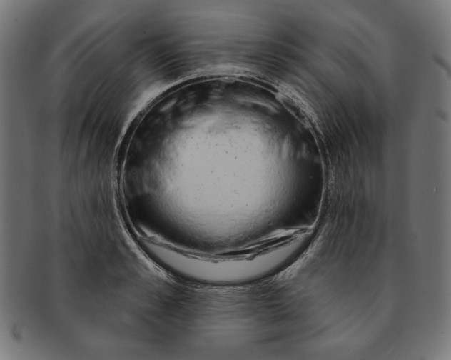 X0000091210989200709061436