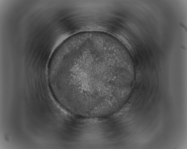 X0000091210990200709061436