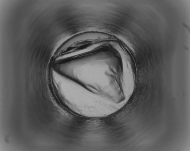 X0000091210991200709061436