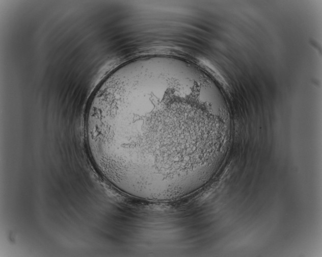 X0000091210994200709061436