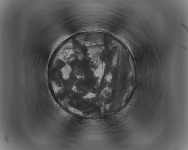 X0000091210995200709061436