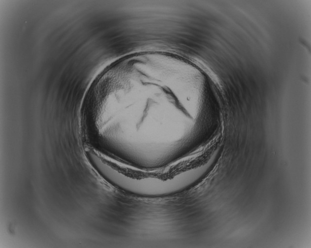 X0000091210996200709061436