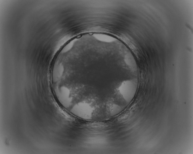 X0000091210998200709061436