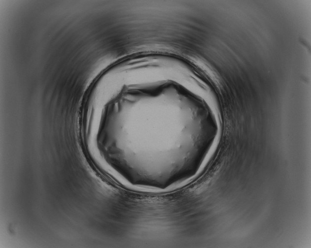 X0000091210999200709061436