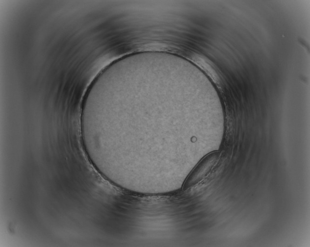 X0000091211000200709061436