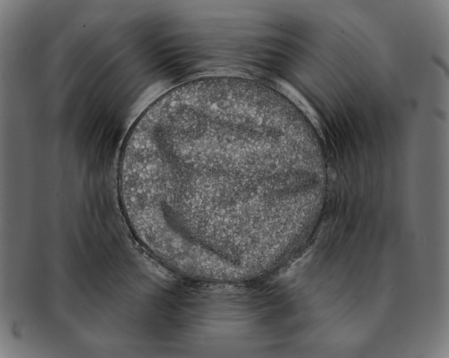 X0000091211002200709061436