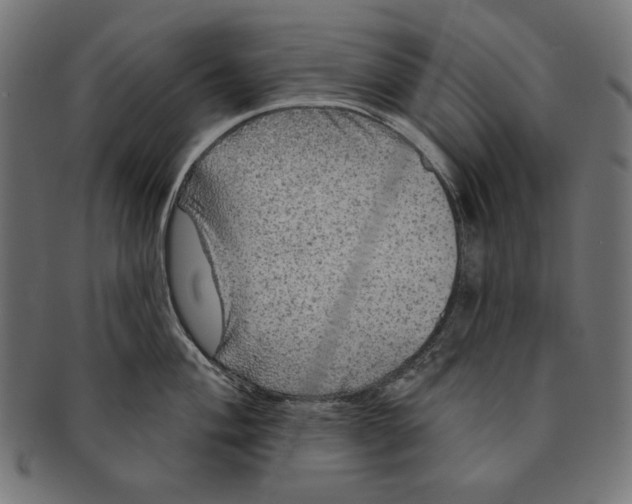 X0000091211004200709061436