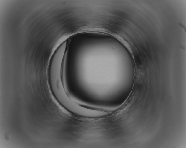 X0000091211005200709061436