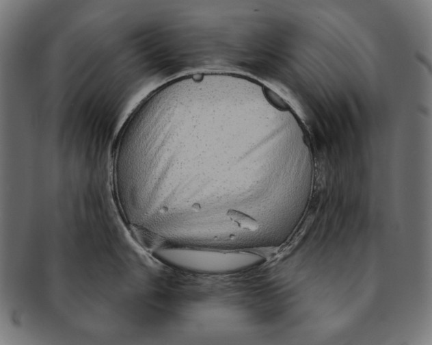 X0000091211006200709061436