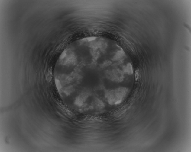 X0000091211011200709061435