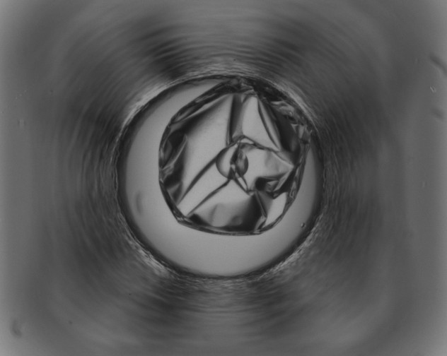 X0000091211018200709061435