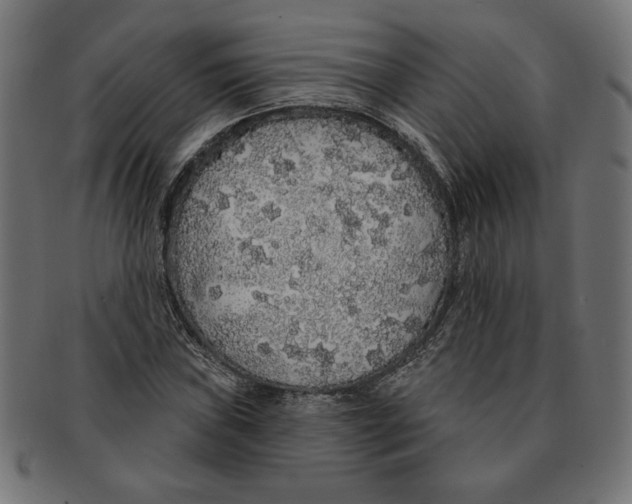 X0000091211019200709061435