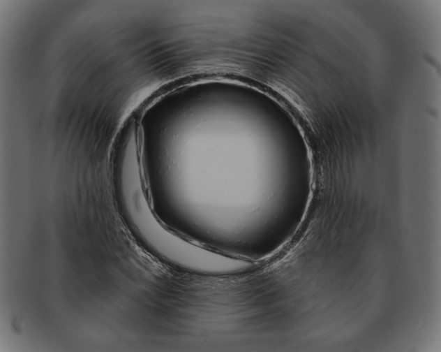 X0000091211022200709061435