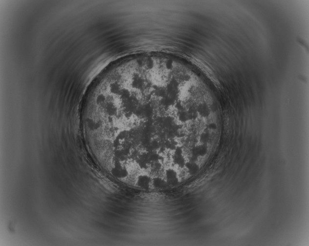 X0000091211023200709061435