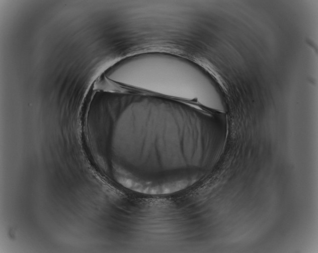 X0000091211024200709061435