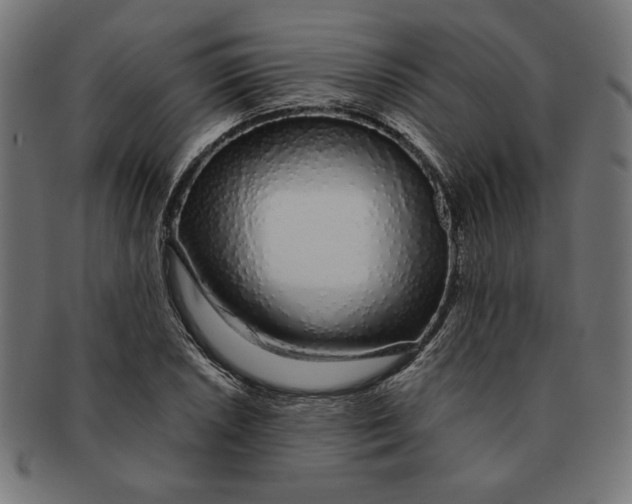 X0000091211026200709061435