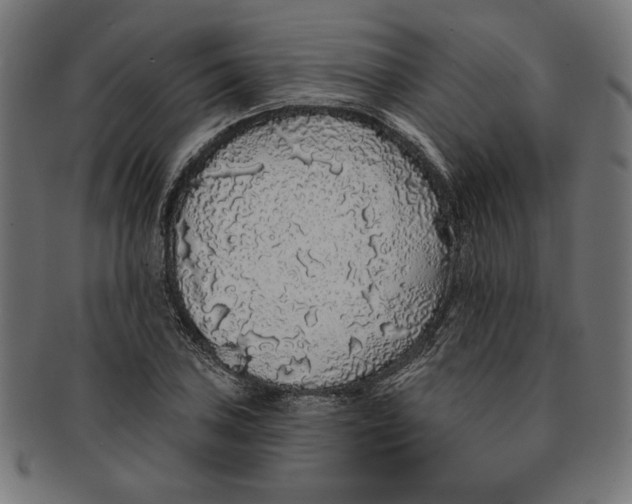 X0000091211027200709061435