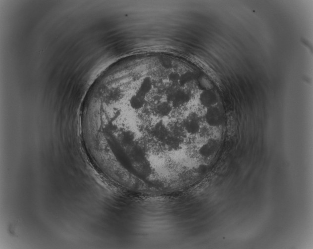 X0000091211031200709061435